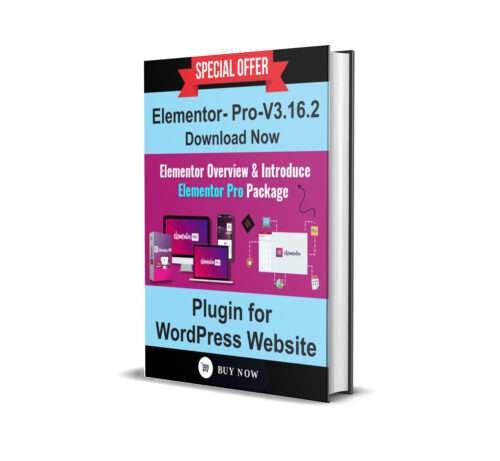 Elementor Pro 3.16.2 – A Premium WordPress Plugin - Image 2