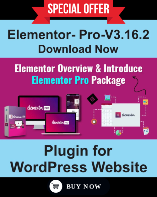 Elementor Pro 3.16.2 – A Premium WordPress Plugin - Image 3